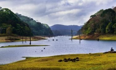Thekkady Tour Packages