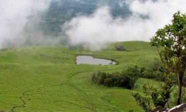 Wayanad Tour Packages